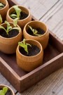Trekasse UNIKA, bred thumbnail
