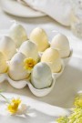 Eggholder til 9 egg thumbnail