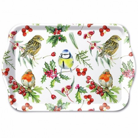 Brett, Fugler vinter