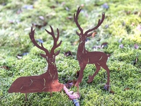 Rust hjort, stående